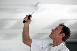 ceiling paint